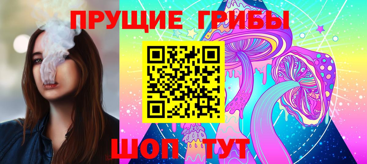 Псилоцибиновые грибы GOLDEN TEACHER Фролово