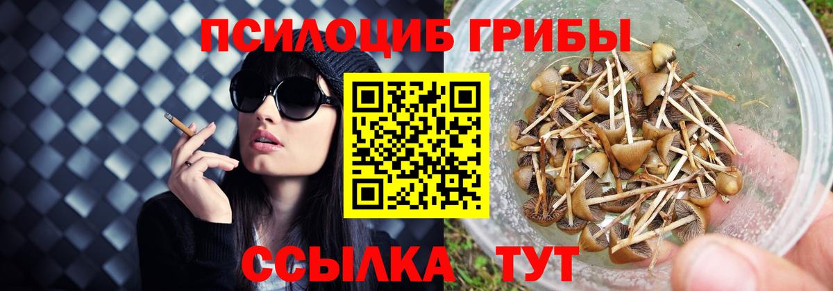 наркота  Галлюциногенные грибы ЛСД  Вход с VPN  Галлюциногенные грибы Psilocybine cubensis  Фролово 